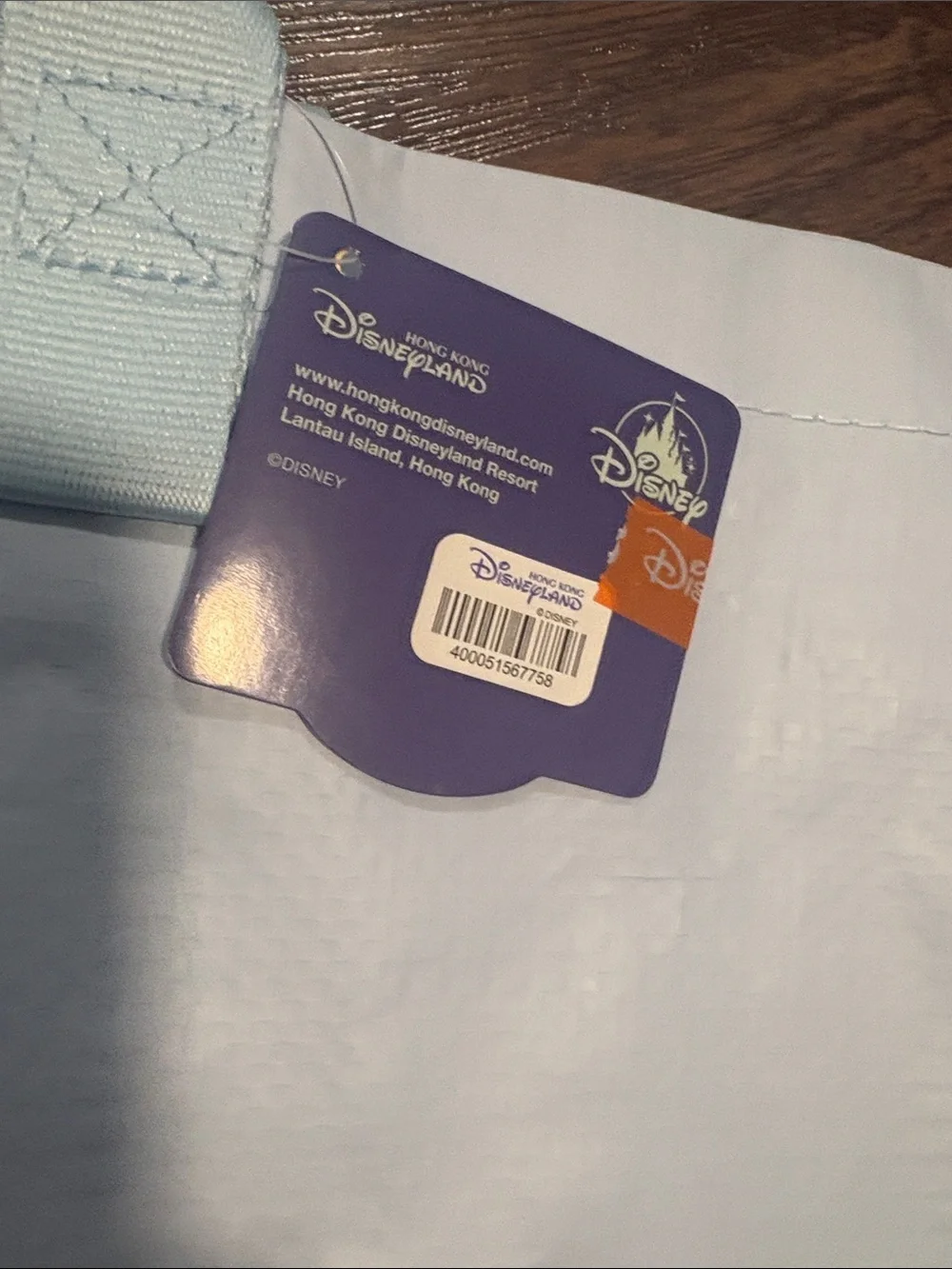 Disneyland Hong Kong Exclusive FROZEN Set of 2 reusable bags (1 small, 1 large)